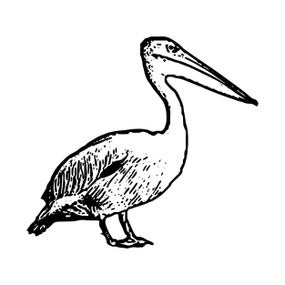 Pelican T-Shirt