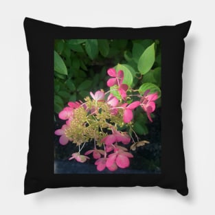 Tenderness of the Pink Hydrangea Goes a Long Way... Pillow
