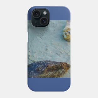 Smiling seals Phone Case