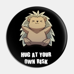 Hug At Your Own Risk Funny Sarcastic Anime Hedgehog Pin