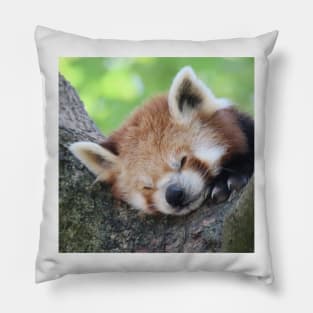 Red Panda 003 Pillow