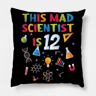 This Mad Scientist Is 12 - 12th Birthday - Science Birthday Pillow