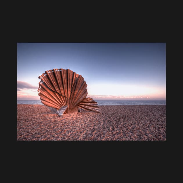 Scallop Sculpture by Nigdaw