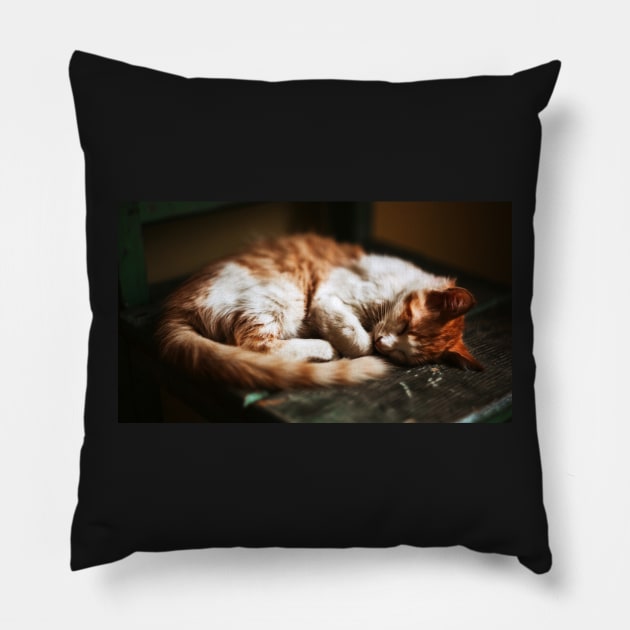 House Cat Pillow by TortillaChief