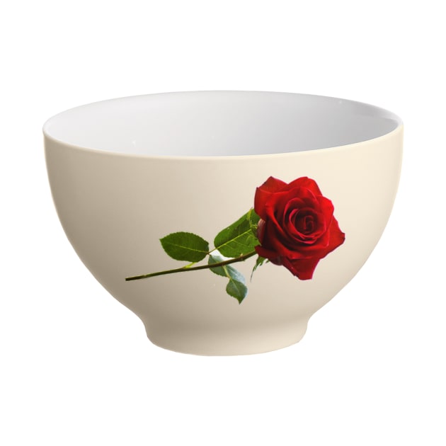 Rose Bowl Pun by MuskegonDesigns