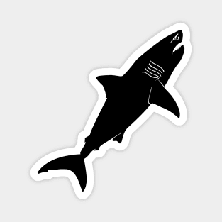 Megalodon Magnet