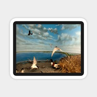 Natural environment diorama - birds flying on the shore of a pond Magnet