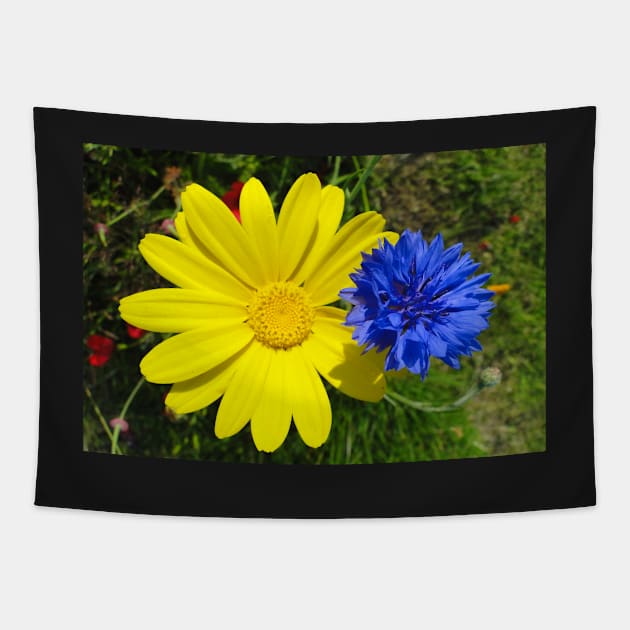 Cornflower and Corn Marigold Tapestry by AH64D