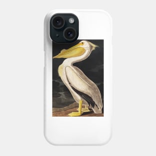 Bird of America  Bird, bird lover, america, beautiful  Public domain painting by John James Audubon Phone Case