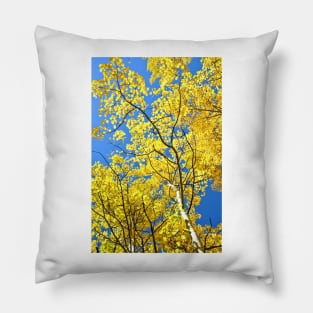 Golden Aspen Leaves in Colorado Fall Mountains Pillow