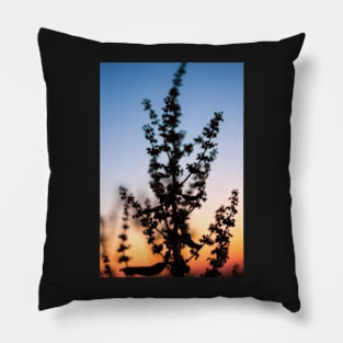 Broad-leaved dock at sunset Pillow