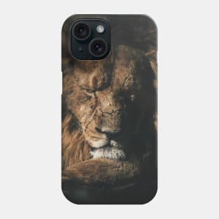 Lion Sleeping Phone Case