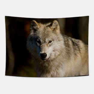 Arctic Wolf Tapestry