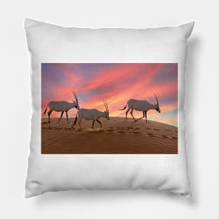 Oryx at sunset in the Arabian desert Pillow