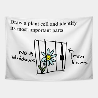 Plant Cells - Exam Question Tapestry