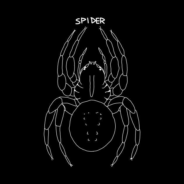 spider by Antho