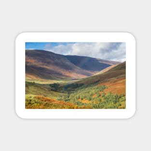 Wide view into Glen Roy in the Highlands of Scotland Magnet