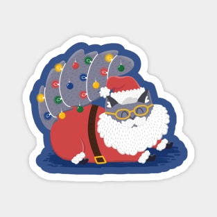 Santa Cat Magnet