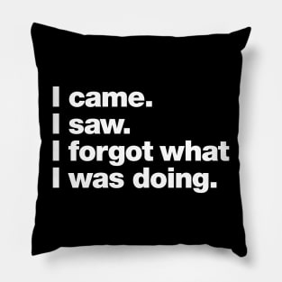 I came. I saw. I forgot what I was doing. Pillow