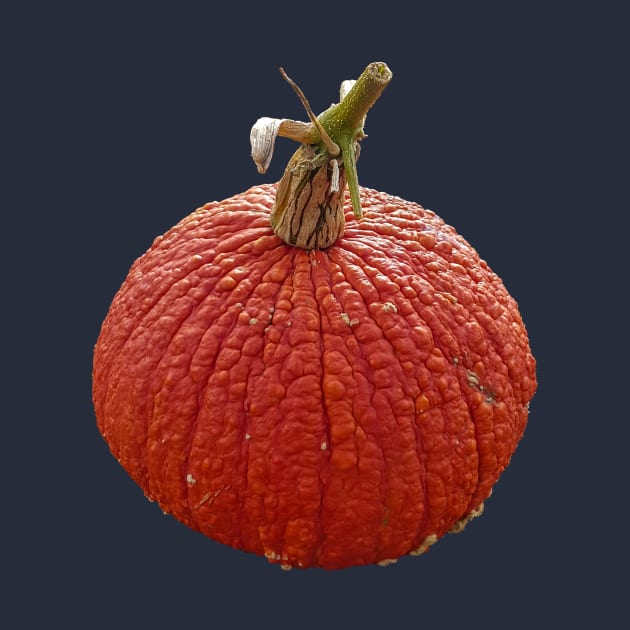 Orange Bumpy Pumpkin for Halloween Decoration by ellenhenryflorals