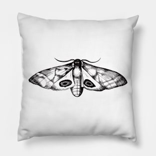 Dramabite Vintage moth illustration Pillow