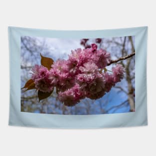 Spring blossom. Tapestry