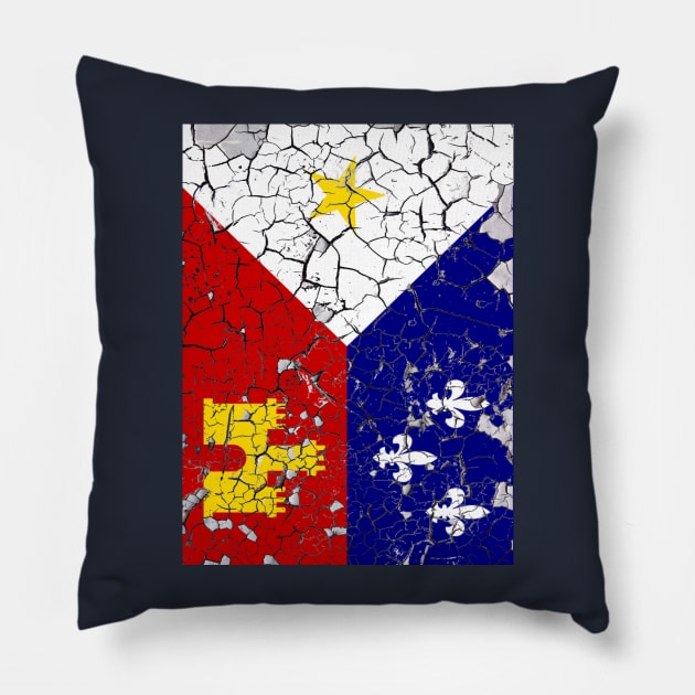 Peeling Acadiana Flag 2 Pillow by Gsweathers