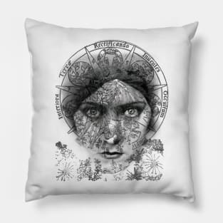 The Eyes of Alchemy Pillow