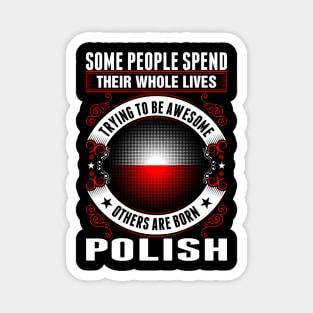 Some people spend whole lives awesome polish Magnet