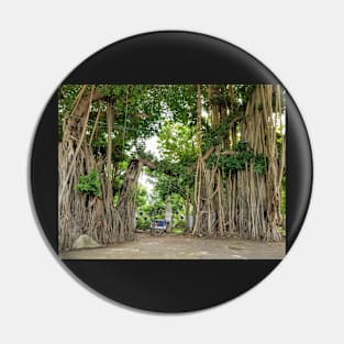 Bangkok Sidewalk Landscape Tree Solitude Pin