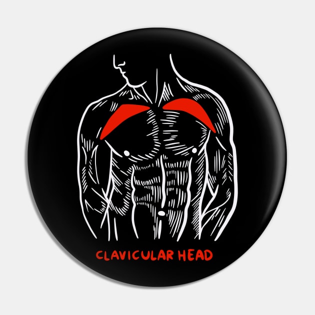 Gym Trainer Muscles Anatomy Clavicular Head Pin by isstgeschichte