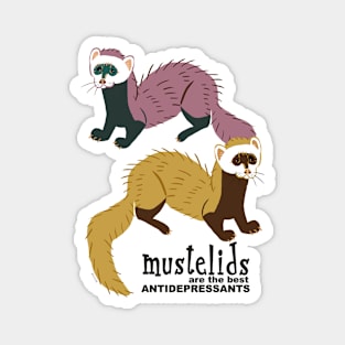 Mustelids are the best antidepressants N2 Magnet