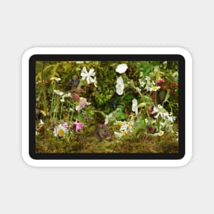 mouse in the wild flowers Magnet