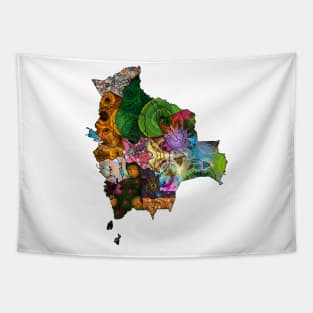 Spirograph Patterned Bolivia Administrative divisions Map Tapestry