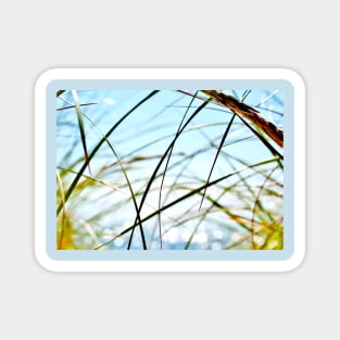 Wispy Beach Grass Magnet