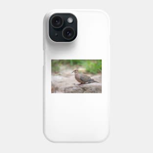 Handsome Mourning Dove Phone Case