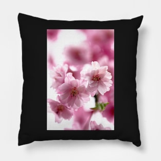 Double weeping cherry blossoms Pillow