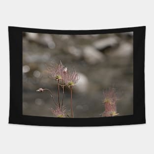 Seed pods Tapestry