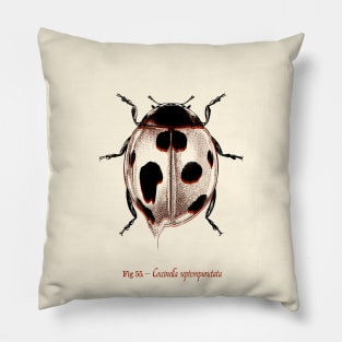 Ladybug Vintage Pillow