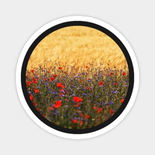 Poppies, Wheat and Cornflowers Magnet