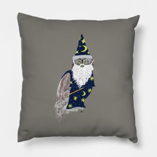 Magical Merlin Pillow