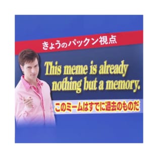 This meme is nothing but a memory T-Shirt