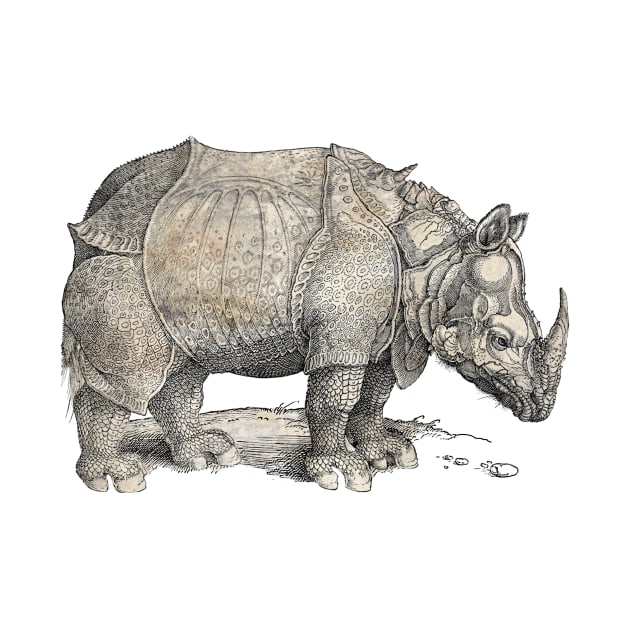 A Rhinoceros - Albrecht Durer by The Blue Box