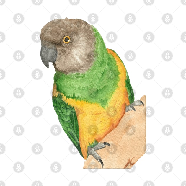 senegal parrot watercolor portrait painting of bird by Oranjade0122