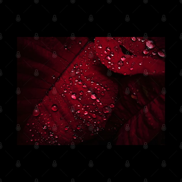 Red Leaf with Water Bubbles by Merch House