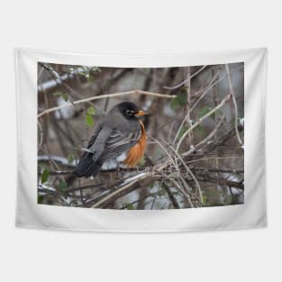 American Robin Tapestry