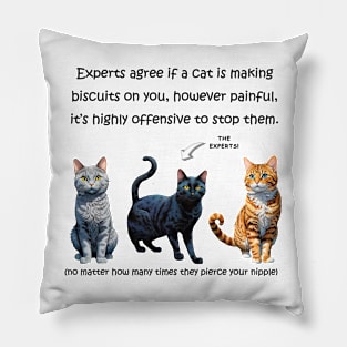 Experts agree if a cat is making biscuits on you pierce nipples - funny watercolour cat design Pillow