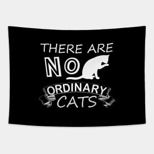 There are No Ordinary cats funny pets lovers Tapestry