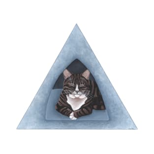 Tabby and White Cat T-Shirt