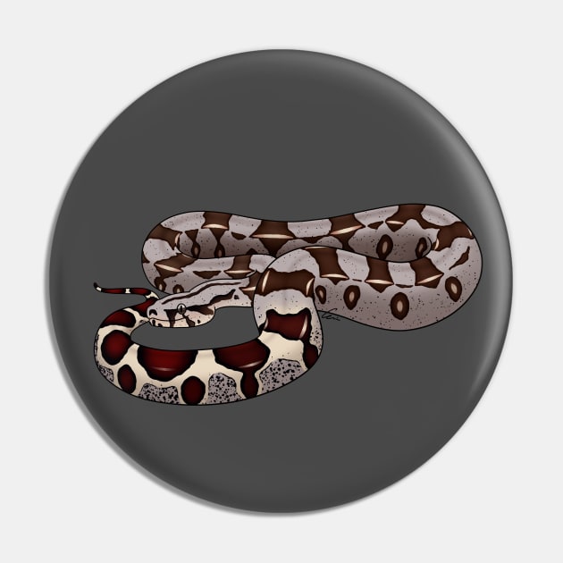 Red-tailed Boa or Boa Constrictor Constrictor - BCC Pin by anacecilia